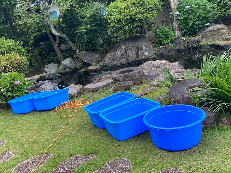 庭池の清掃・高圧洗浄