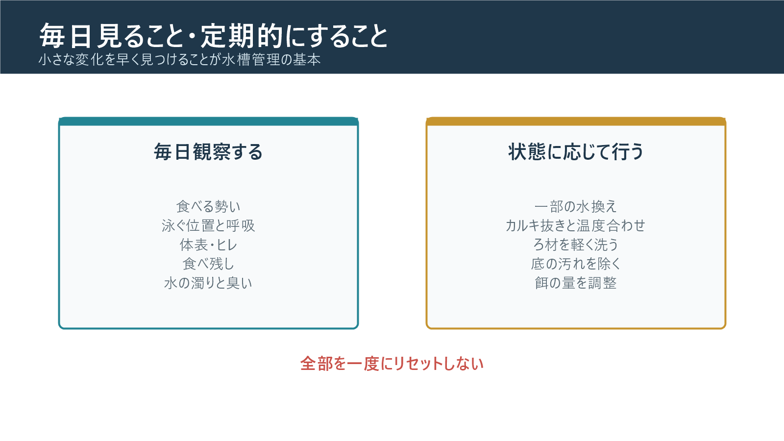 錦鯉の水槽で毎日・定期的に確認する項目
