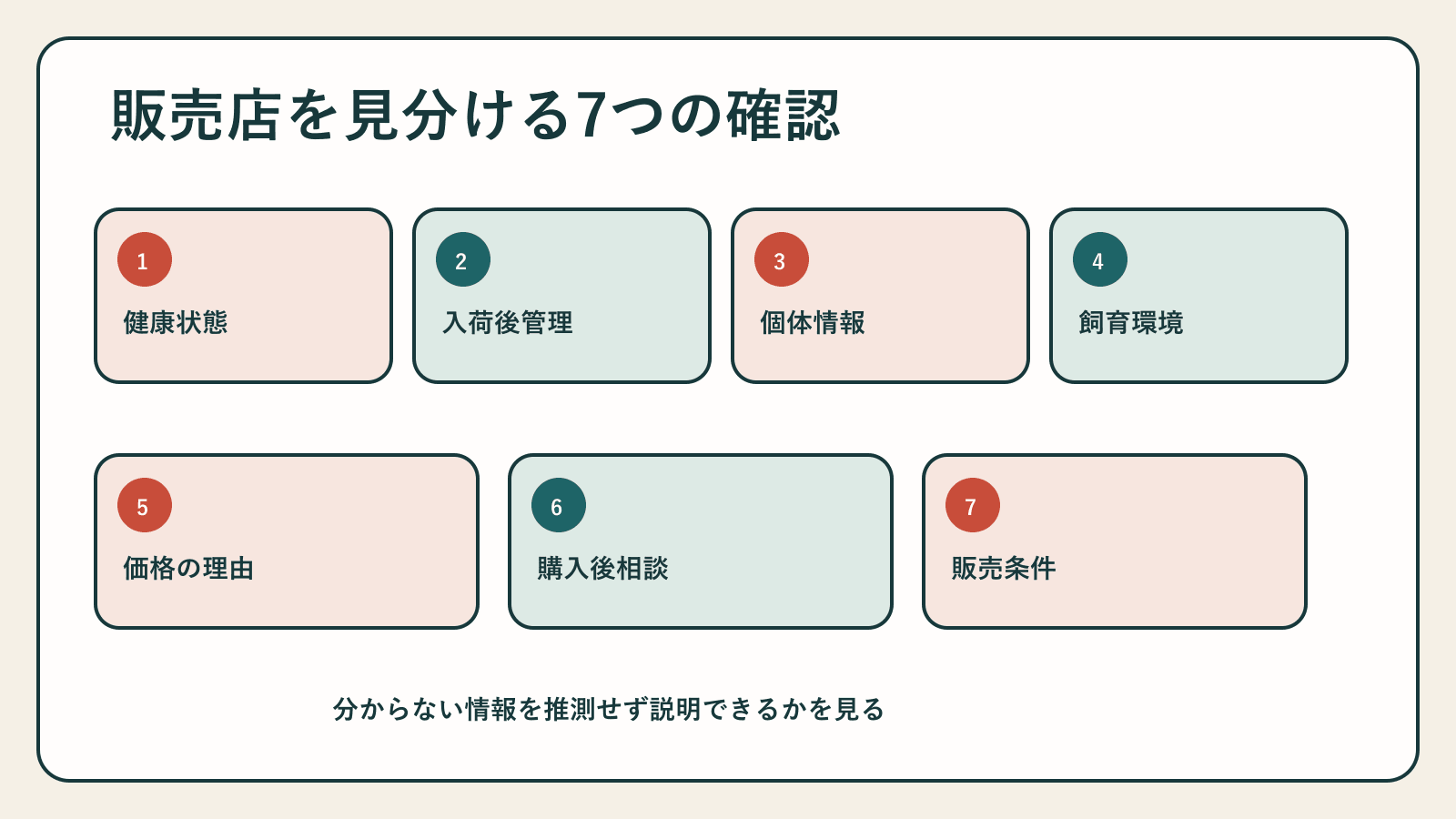 信頼できる錦鯉販売店を見分ける7項目