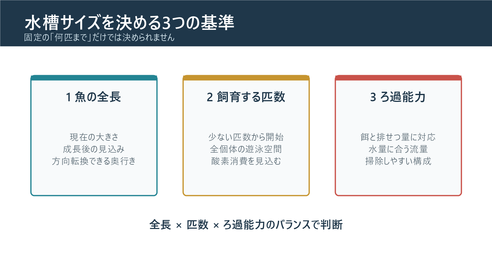 錦鯉の水槽サイズを決める三つの基準