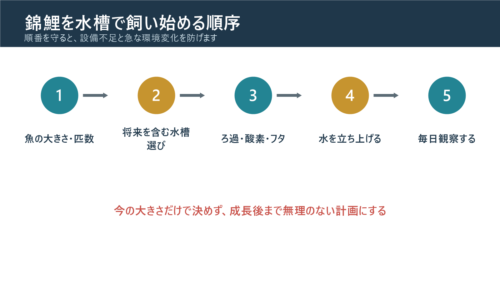 錦鯉を水槽で飼い始める前の確認順序