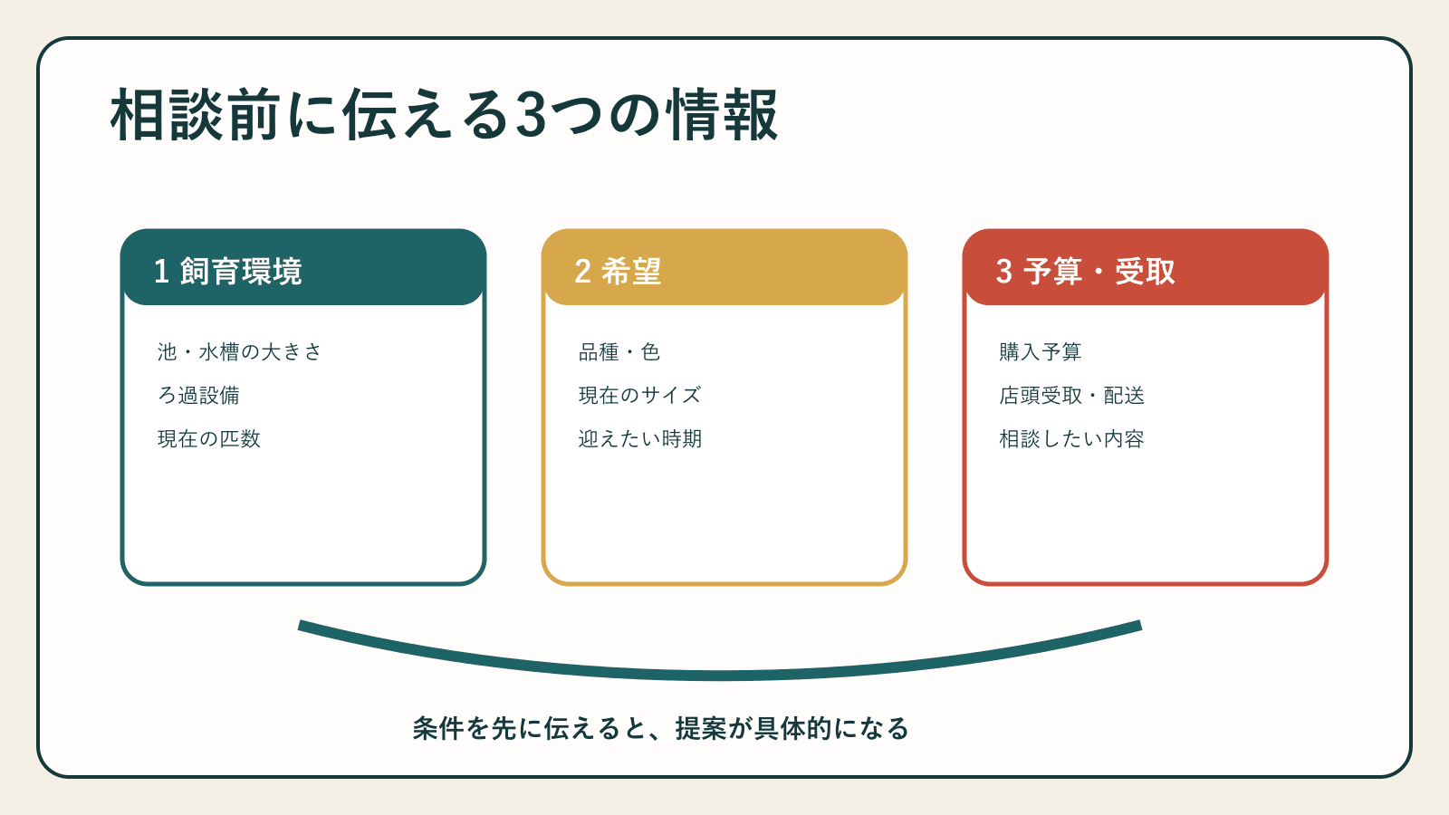 錦鯉販売店へ相談する前に伝える3項目
