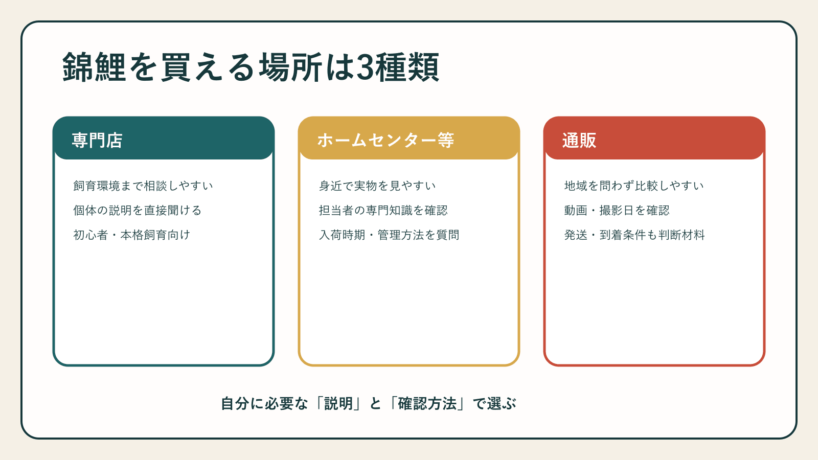 錦鯉の購入先3種類と特徴の比較図