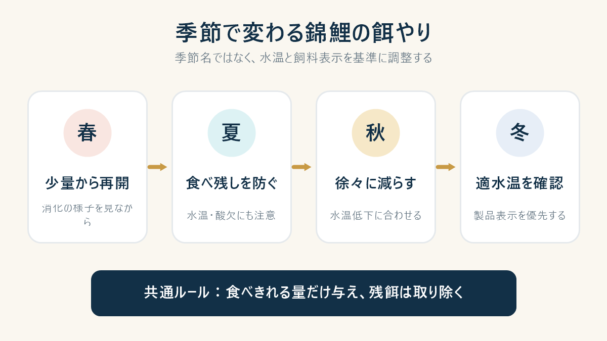 春夏秋冬の錦鯉の餌やり調整を示す図解