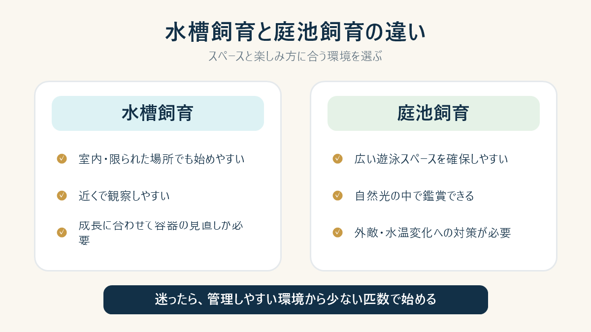 水槽飼育と庭池飼育の特徴を比較する図解