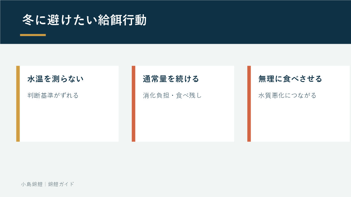 冬の錦鯉で避けるべき給餌行動と影響