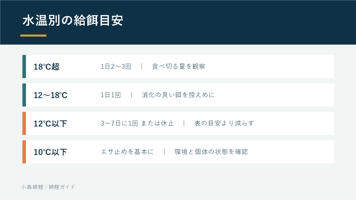 水温帯ごとの錦鯉の給餌回数と量の目安