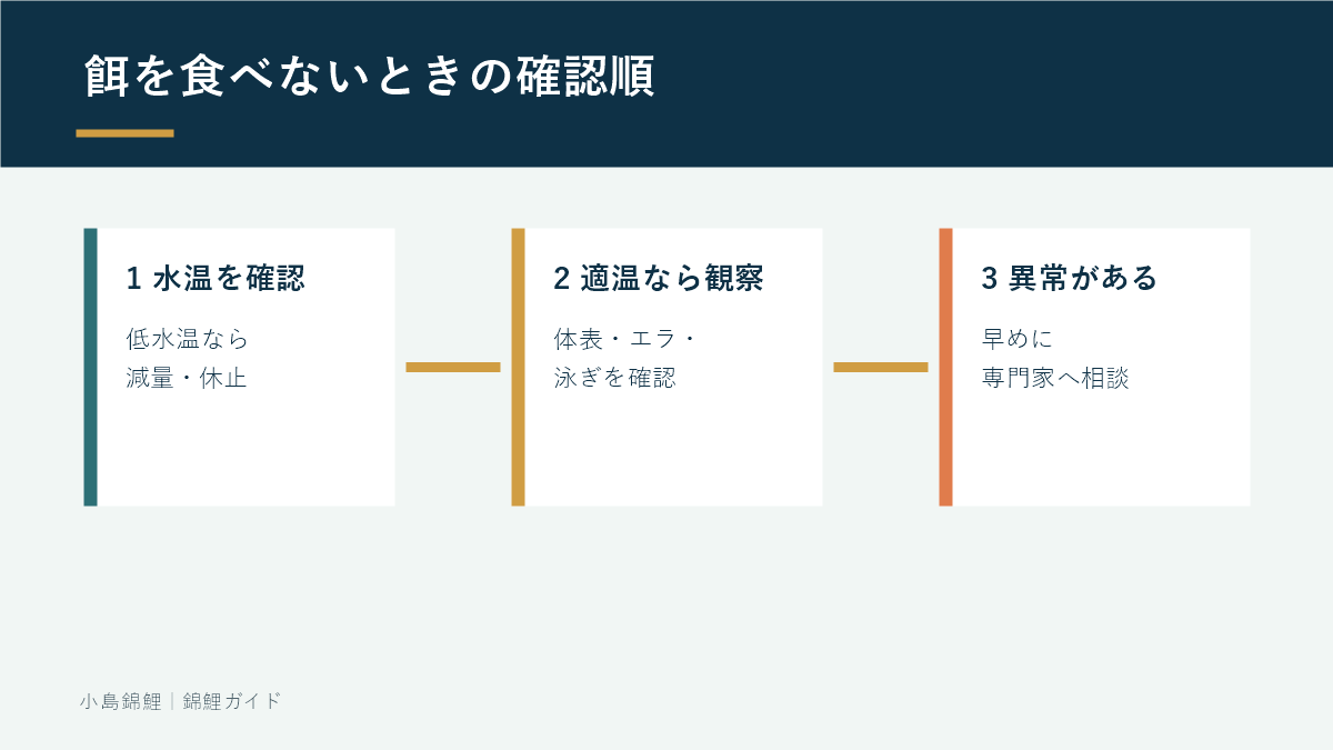錦鯉が餌を食べないときの確認手順