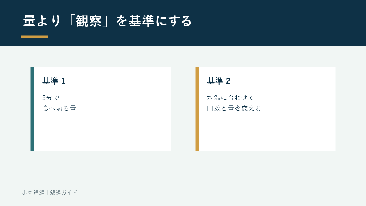 錦鯉の餌の量を決める2つの基準