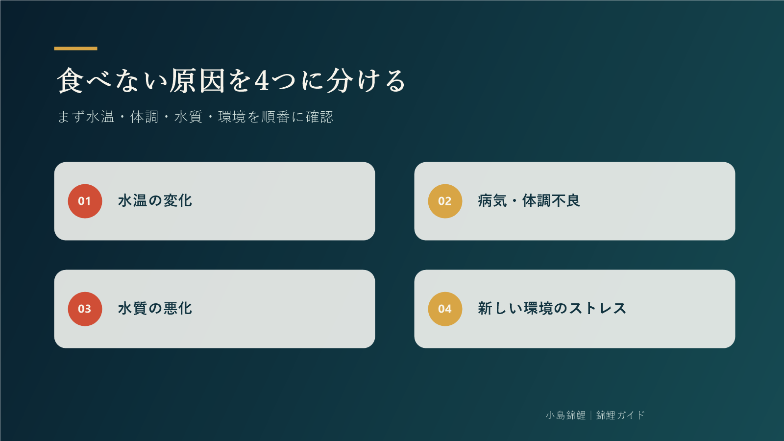 錦鯉が餌を食べない4つの主な原因
