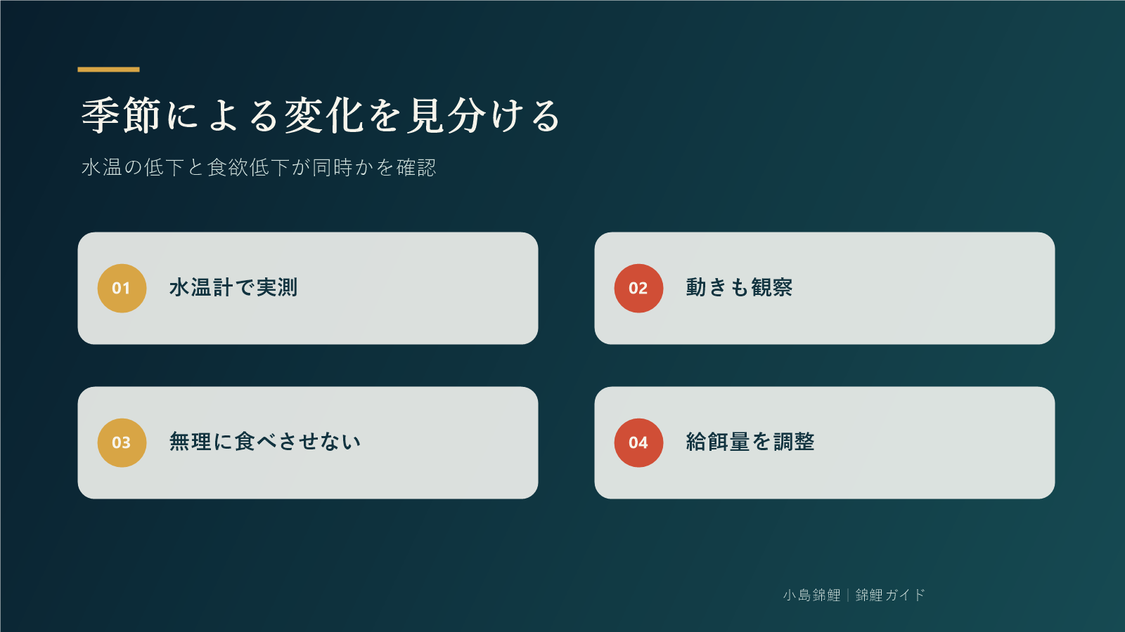 水温が原因かを見分ける4つの確認点