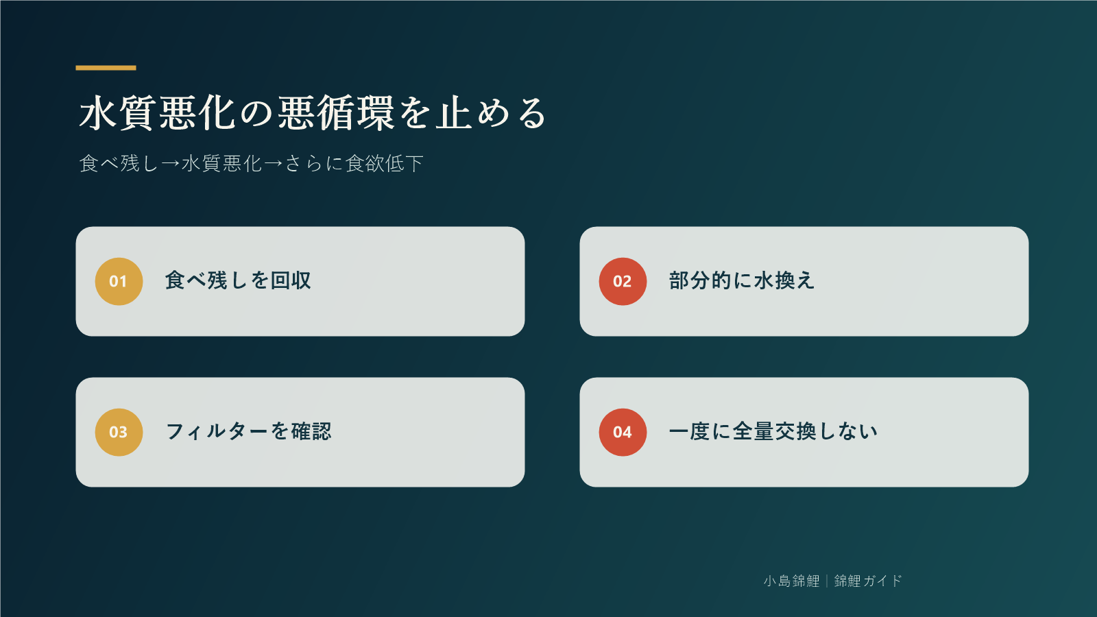 水質悪化の悪循環を止める4つの対応