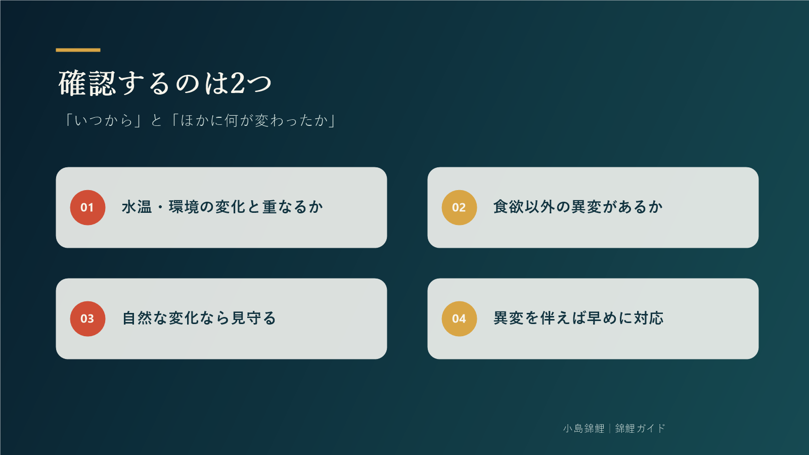 錦鯉が餌を食べないときに確認する2つの軸