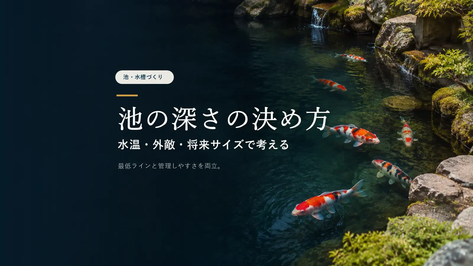 錦鯉 池の深さの目安｜何cmあれば安心？水温・外敵対策から考える決め方