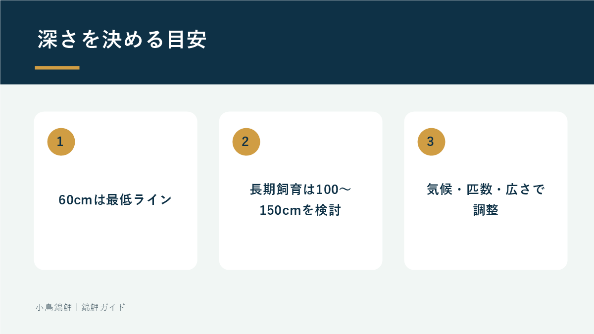 錦鯉池の深さを決める目安