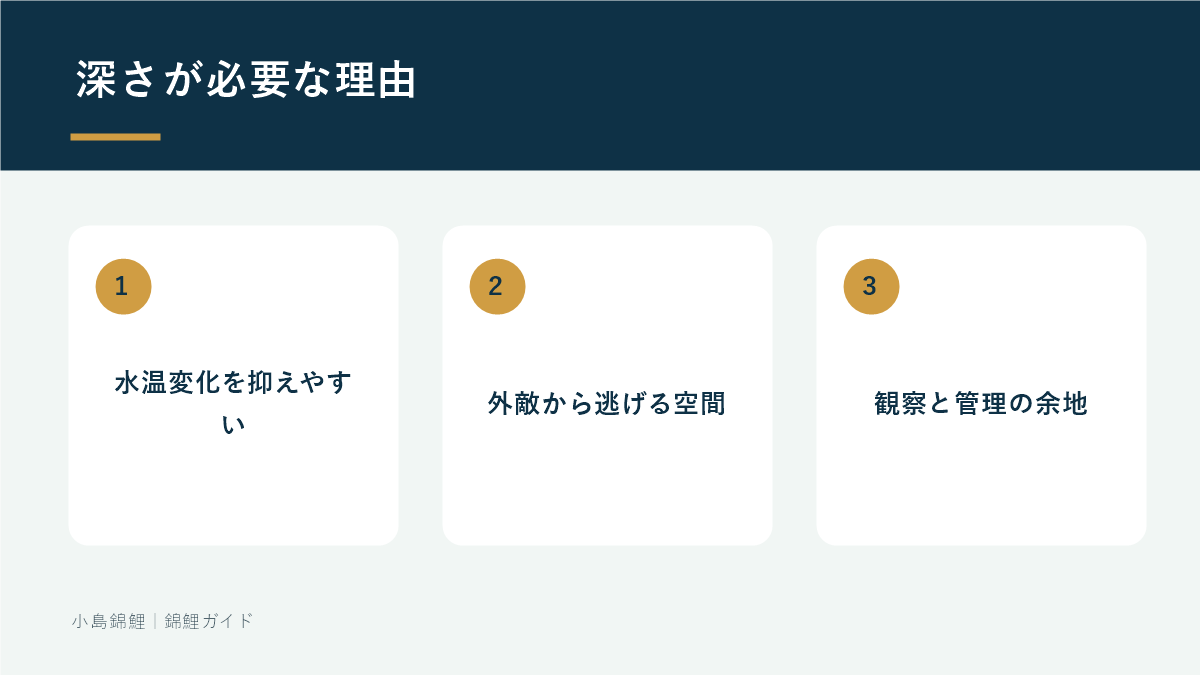 錦鯉池に深さが必要な理由