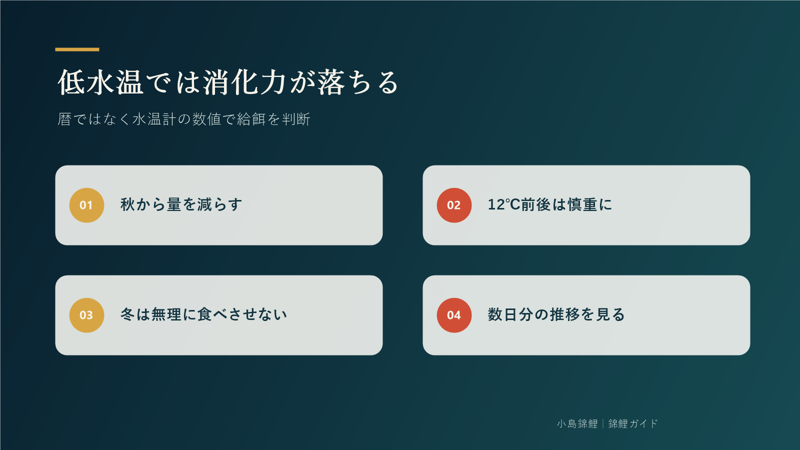 低水温で錦鯉の消化力が落ちるときの管理