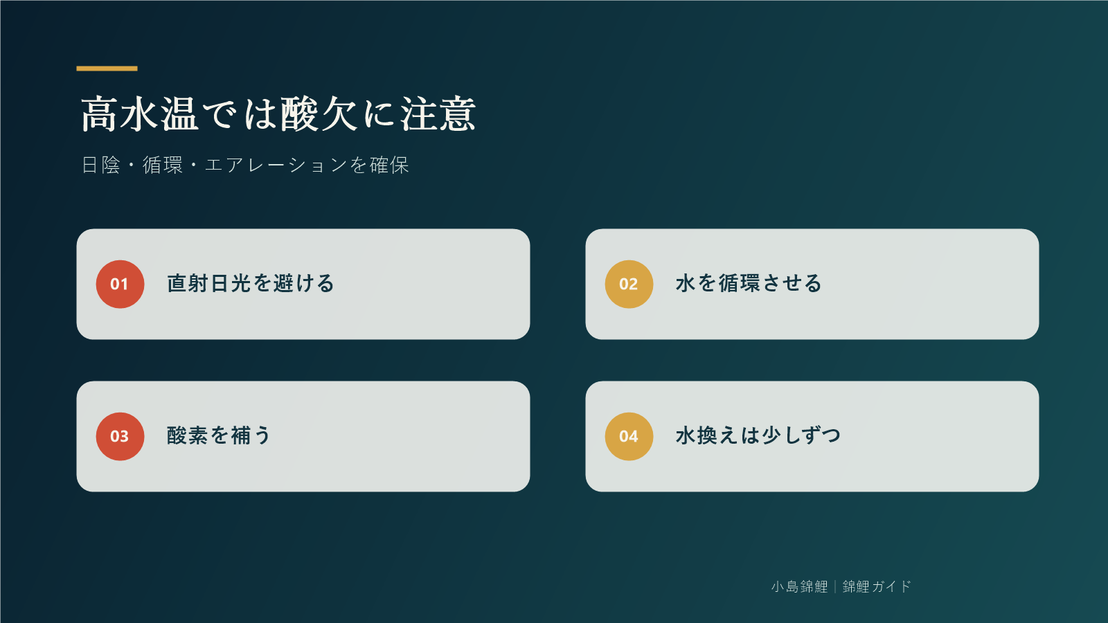 高水温時の酸欠を防ぐ4つの対策