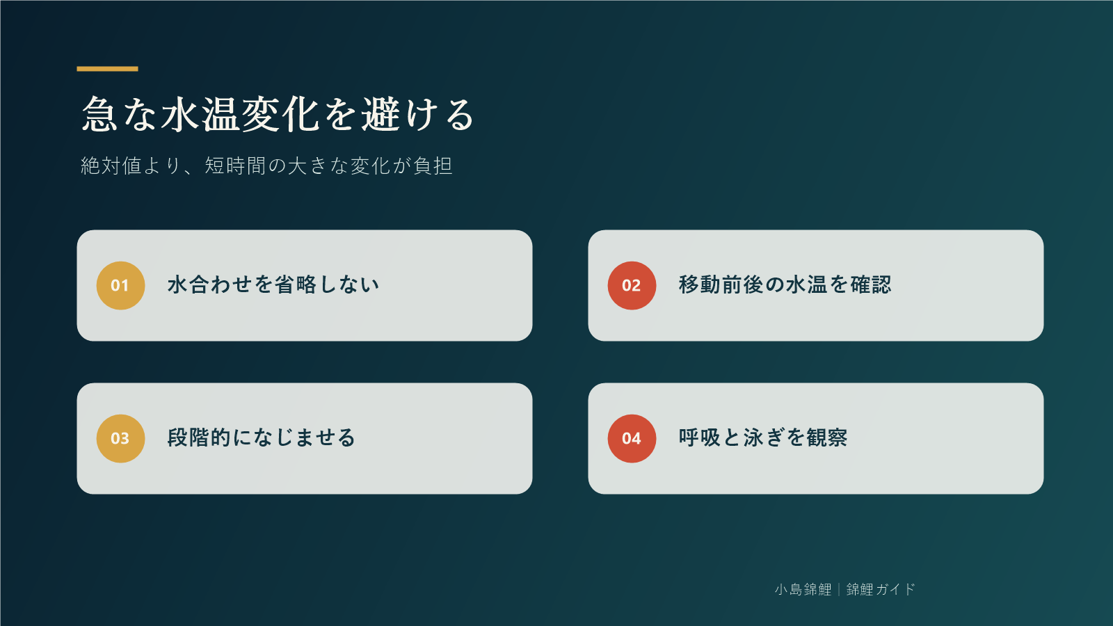 急な水温変化を避ける水合わせの要点