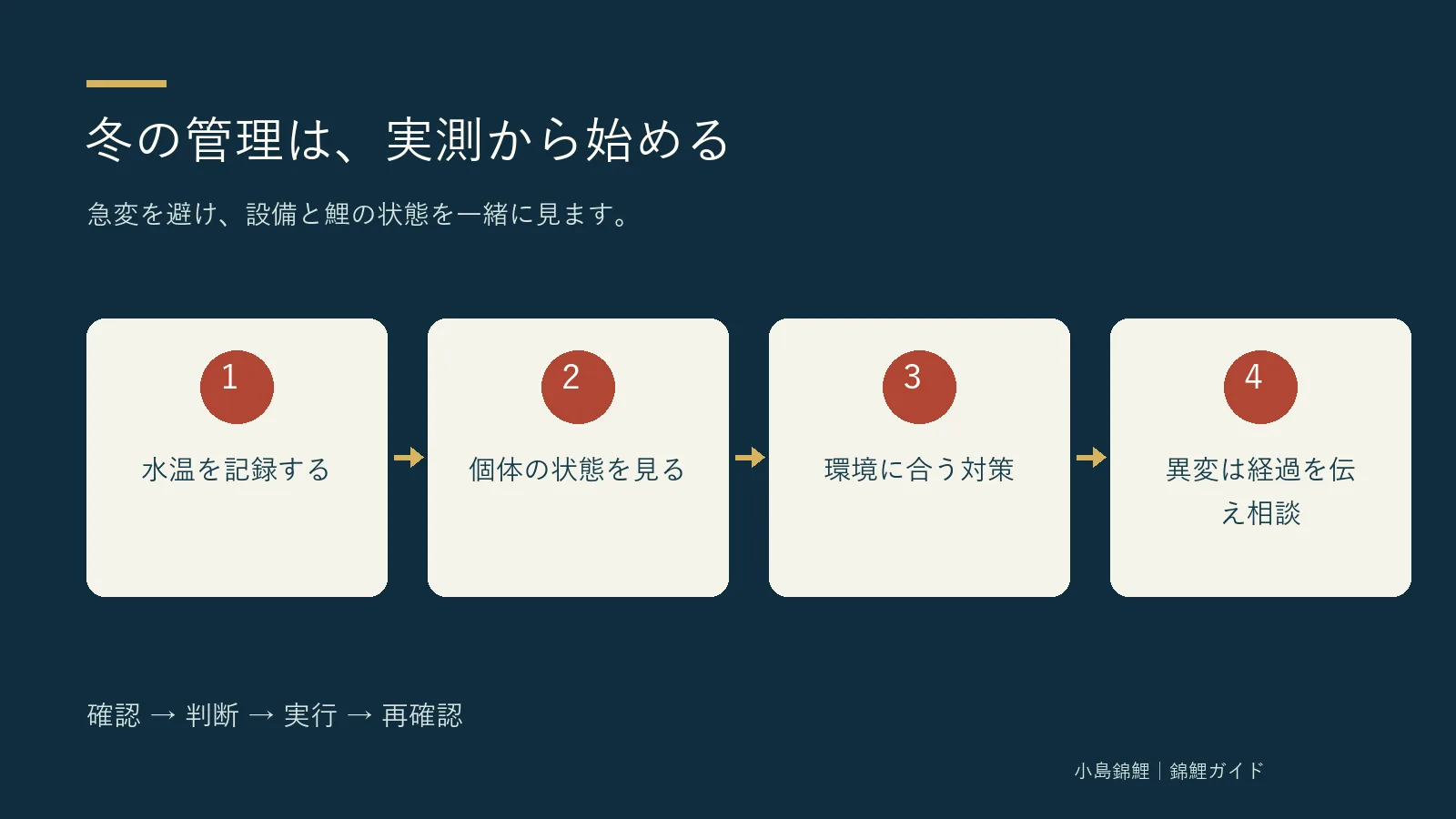 冬の管理は、実測から始める。水温を記録する、個体の状態を見る、環境に合う対策、異変は経過を伝え相談の順に確認する図解