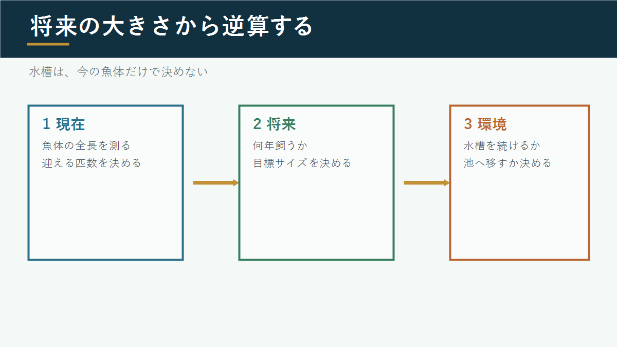 現在・将来・飼育環境の順に水槽サイズを考える図