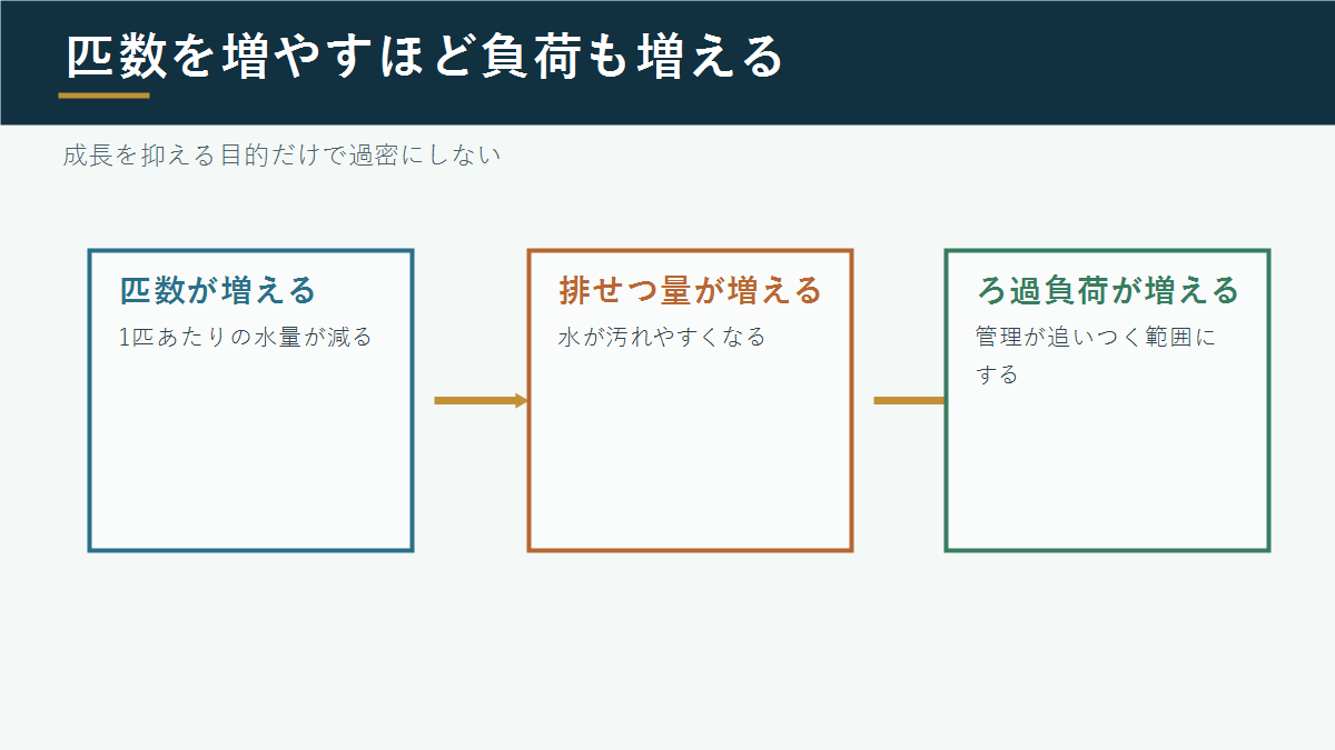 錦鯉の匹数増加とろ過負荷の関係
