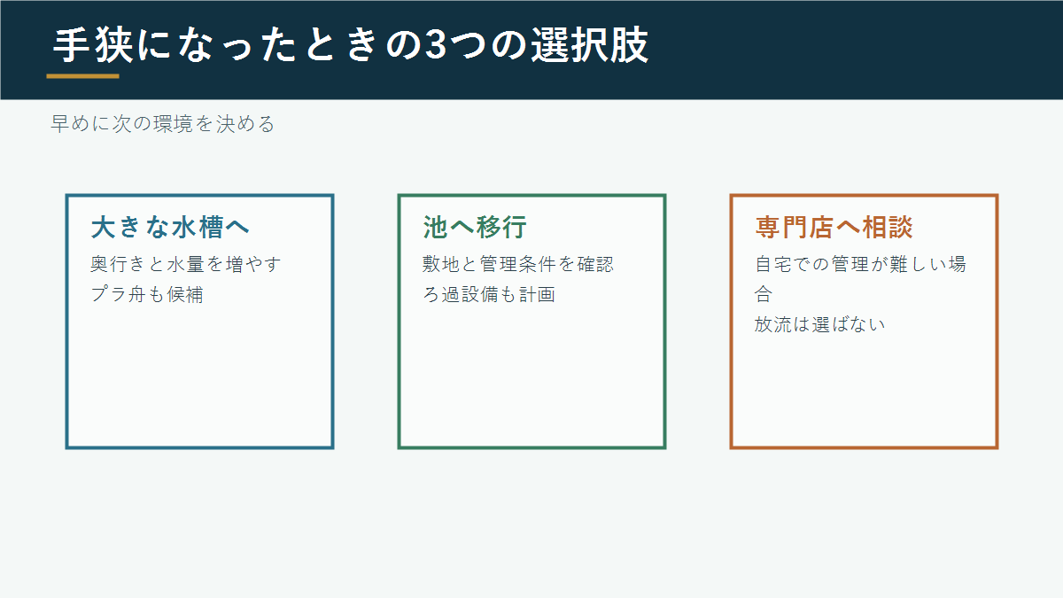 水槽が手狭になったときの選択肢
