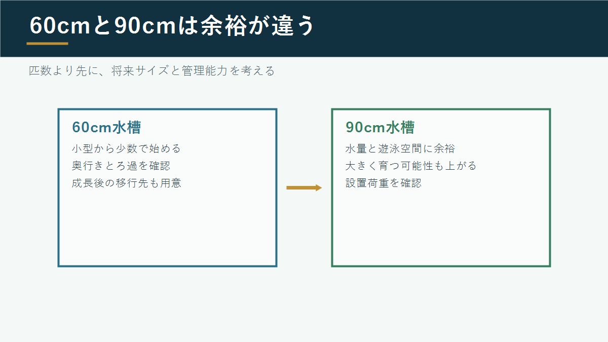 60cm水槽と90cm水槽の違い