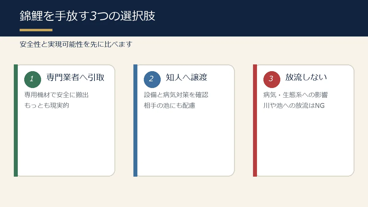錦鯉を安全に手放す3つの選択肢の図解 錦鯉を安全に手放す3つの選択肢の図解