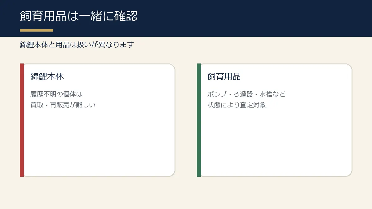 錦鯉本体と飼育用品の査定可否を比較した図解 錦鯉本体と飼育用品の査定可否を比較した図解