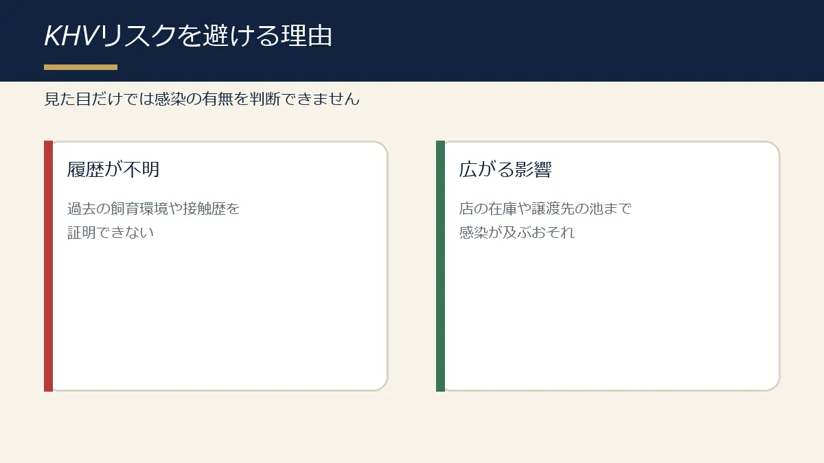 履歴不明の錦鯉におけるKHV感染リスクの図解 履歴不明の錦鯉におけるKHV感染リスクの図解