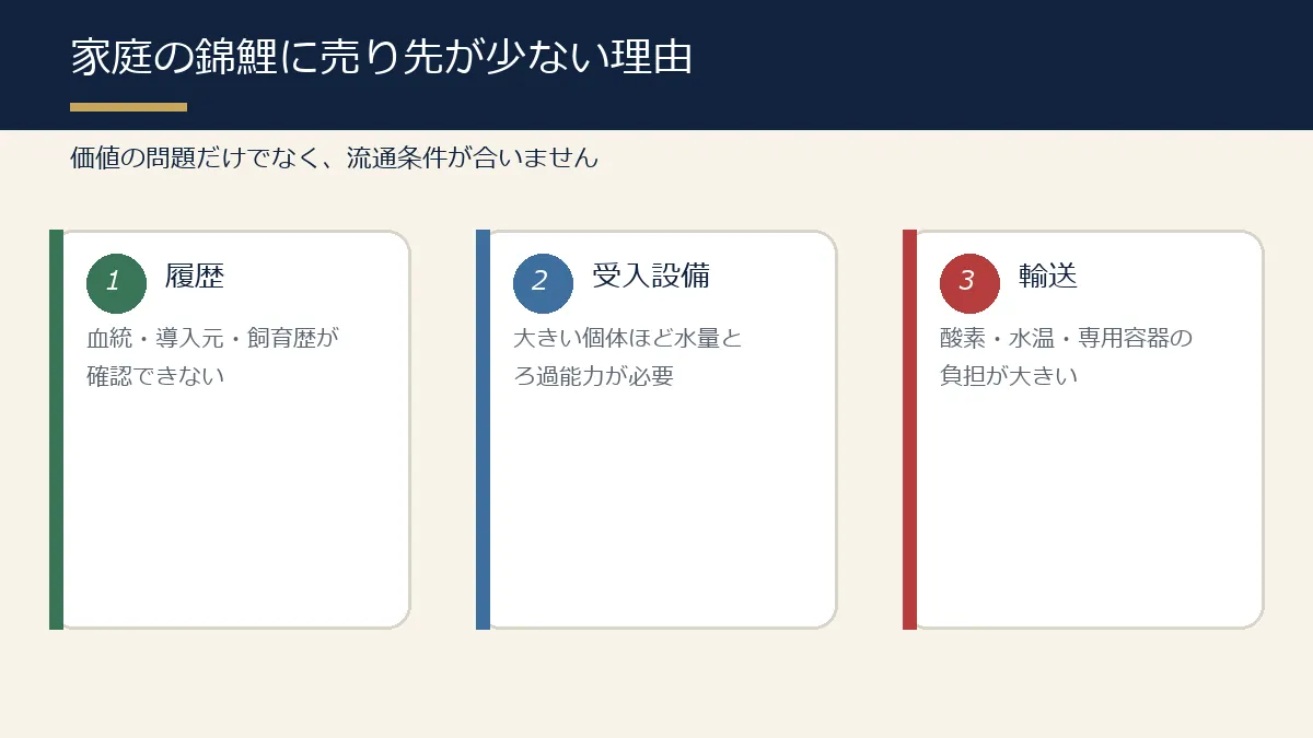 家庭の錦鯉に売り先が少ない理由の図解 家庭の錦鯉に売り先が少ない理由の図解