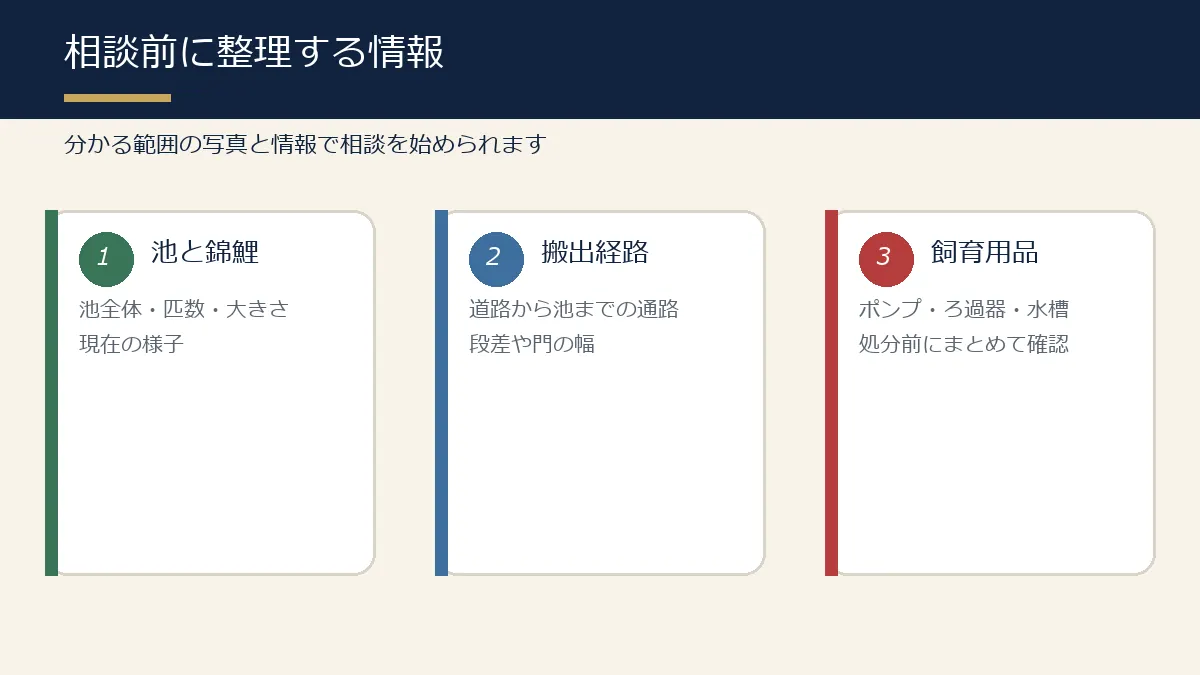 錦鯉の引取相談前に整理する情報の図解 錦鯉の引取相談前に整理する情報の図解