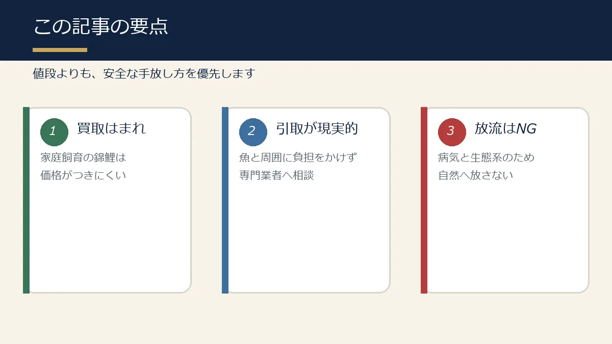 錦鯉の買取と手放し方の要点をまとめた図解 錦鯉の買取と手放し方の要点をまとめた図解