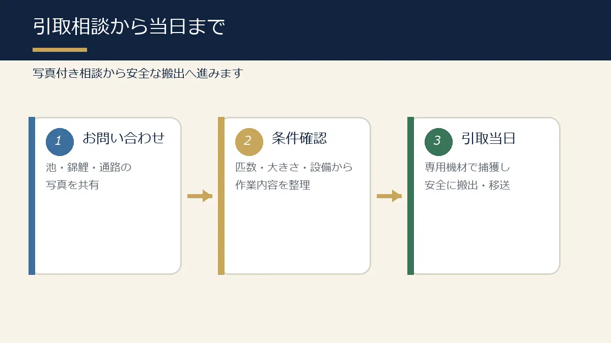 錦鯉の引取相談から当日までの流れの図解