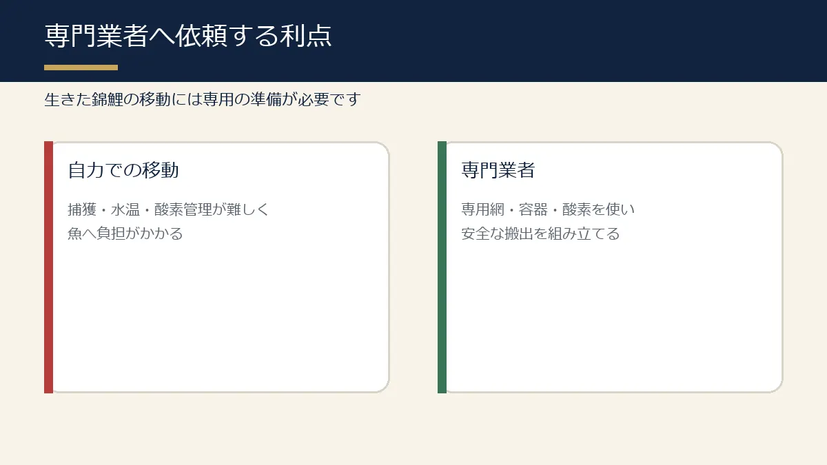錦鯉の引取を専門業者へ依頼する利点の図解