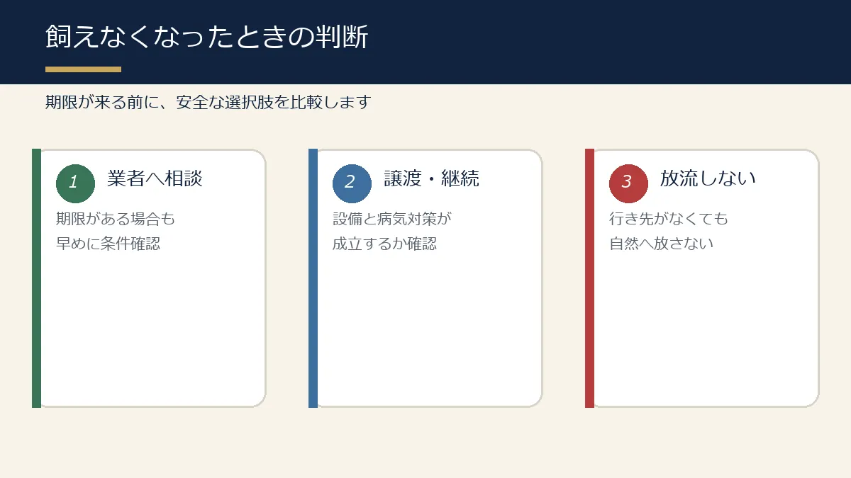 錦鯉を飼えなくなったときの判断ポイントの図解