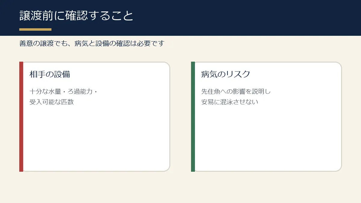 錦鯉を譲渡する前に確認する設備と病気リスクの図解
