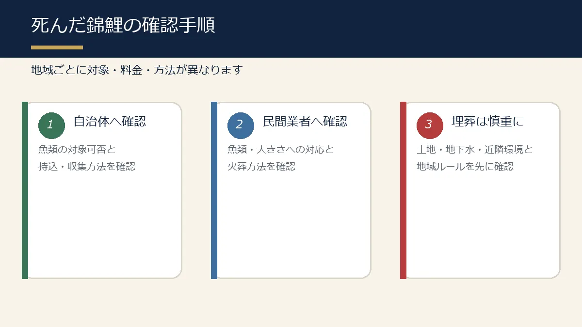 死んだ錦鯉について自治体・民間業者・地域ルールを確認する手順 死んだ錦鯉について自治体・民間業者・地域ルールを確認する手順