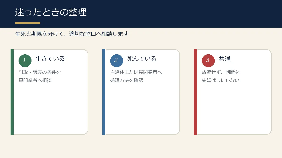 錦鯉の生死を分けて相談先を整理する図解 錦鯉の生死を分けて相談先を整理する図解