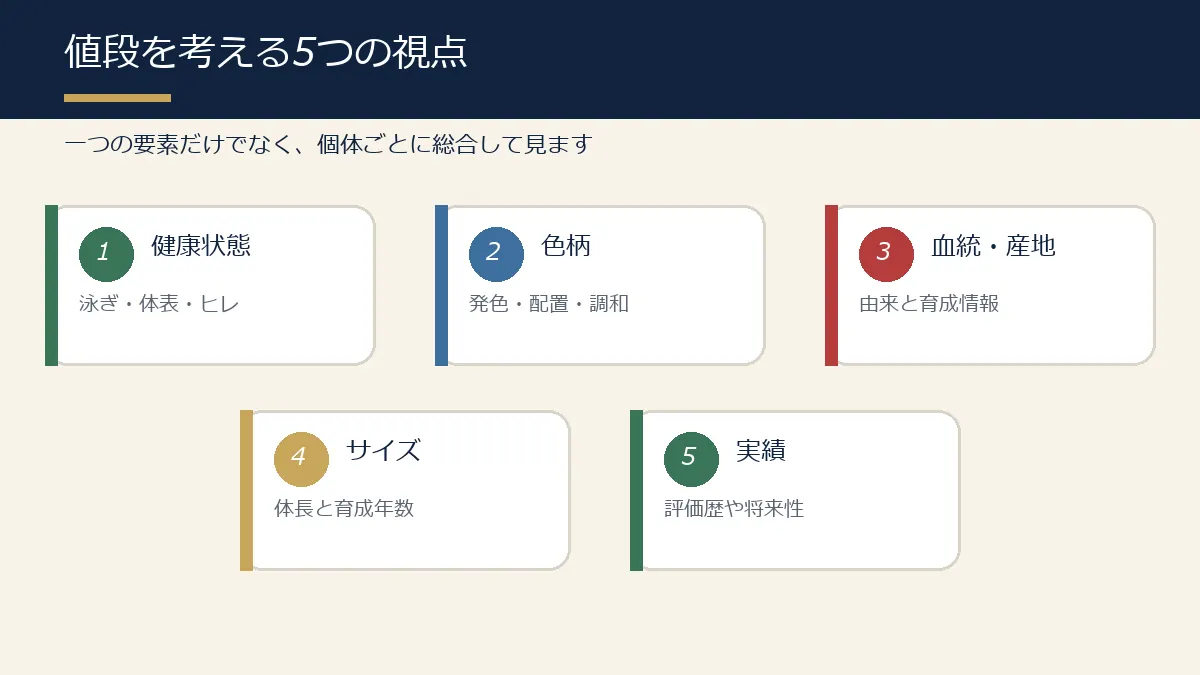 錦鯉の値段を考える健康・色柄・由来・サイズ・実績の5要素