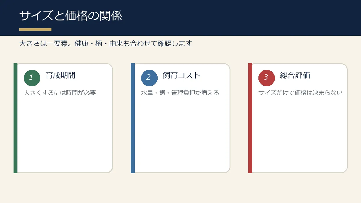 錦鯉のサイズと育成期間・飼育コスト・総合評価の関係