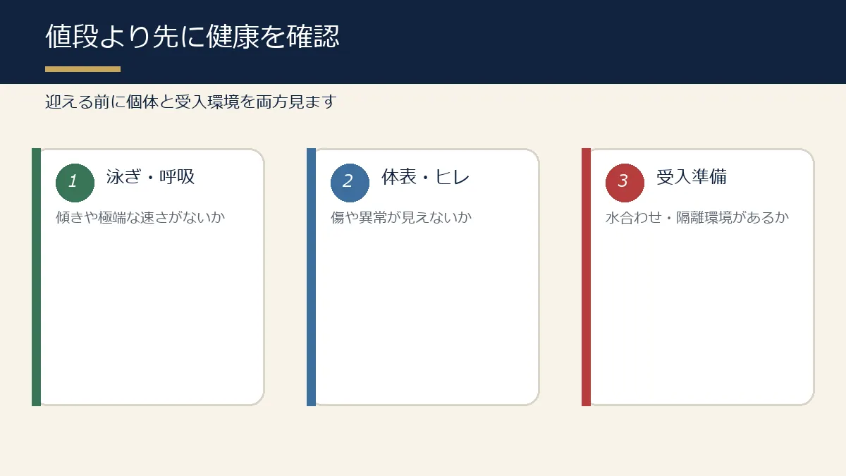 錦鯉を迎える前に泳ぎ・体表・受入環境を確認する図解
