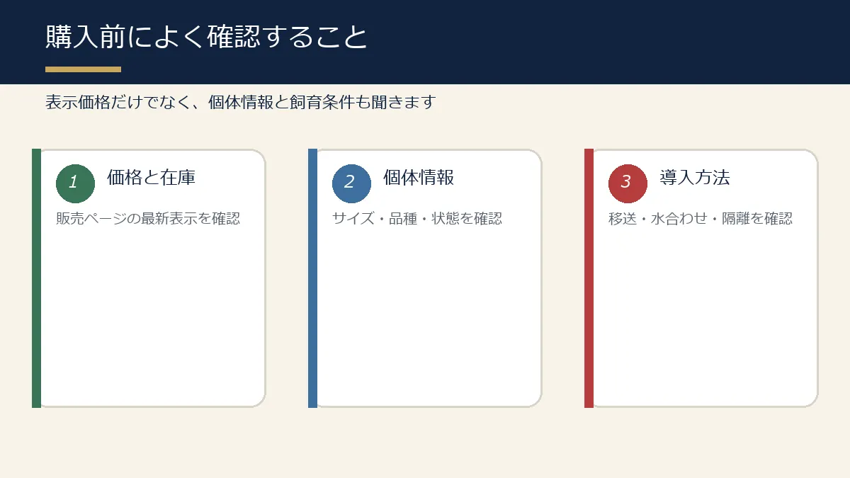 錦鯉の購入前に価格・個体情報・導入方法を確認する図解