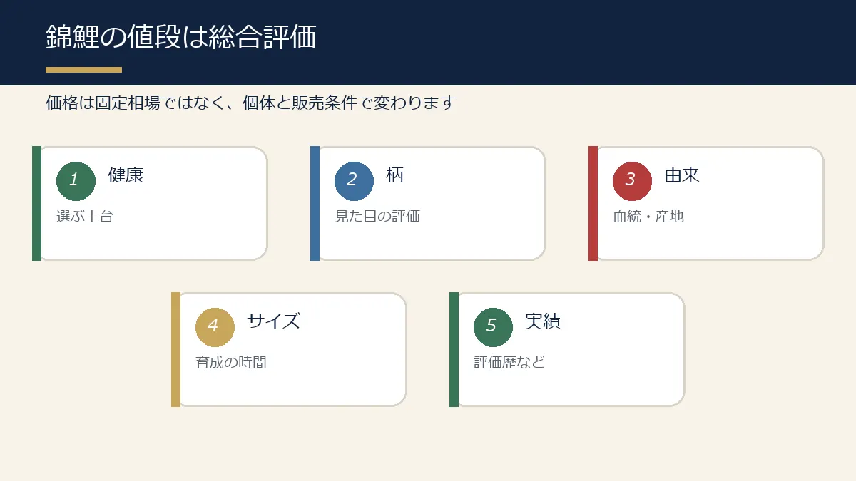 錦鯉の値段を健康・柄・由来・サイズ・実績から総合評価する図解