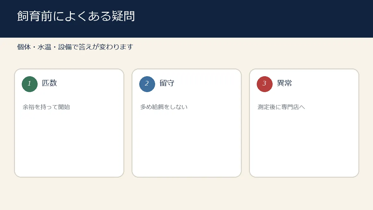 錦鯉の匹数・留守時の給餌・異常時対応を整理する図解 錦鯉の匹数・留守時の給餌・異常時対応を整理する図解