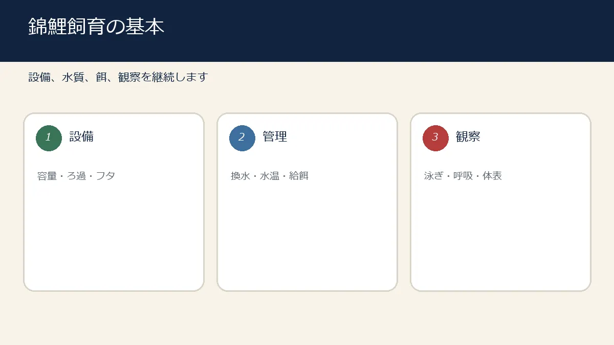 錦鯉飼育の設備・管理・観察の基本をまとめた図解 錦鯉飼育の設備・管理・観察の基本をまとめた図解